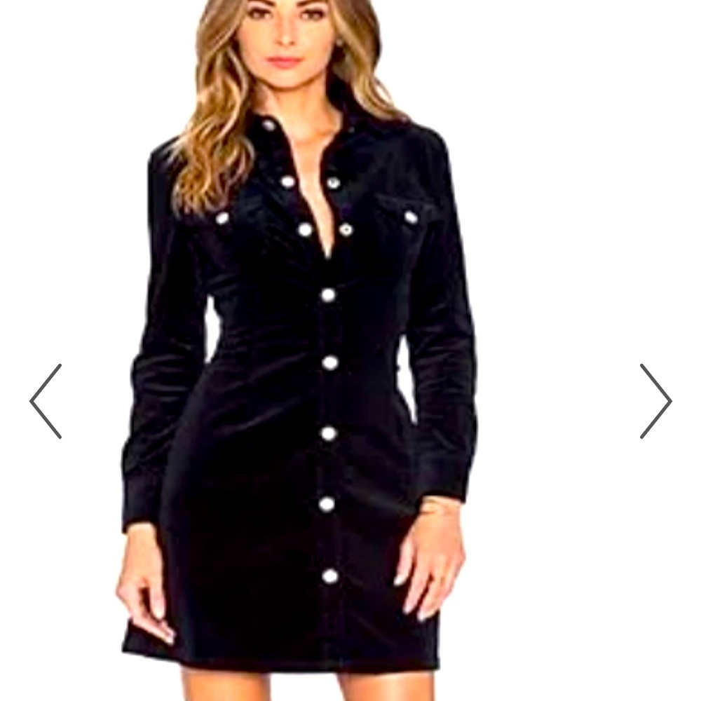 Alexa Chung For Ag curdory shirt dress